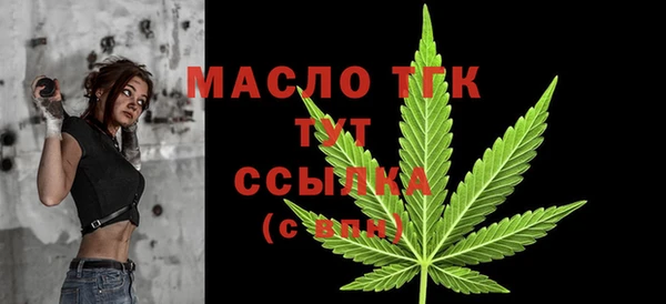 Альфа ПВП Горняк