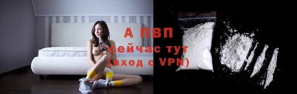 мяу мяу мука Горно-Алтайск