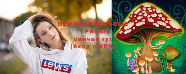 трава Горнозаводск