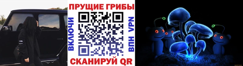 Купить закладки  Пласт  Псилоцибиновые грибы Psilocybe 